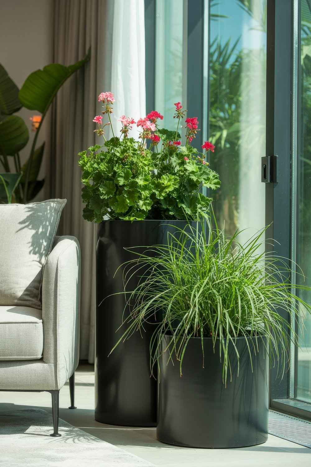 Potted geranium and lemongrass plants by a sunny glass door, part of household pest control with best indoor plants to repel insects
