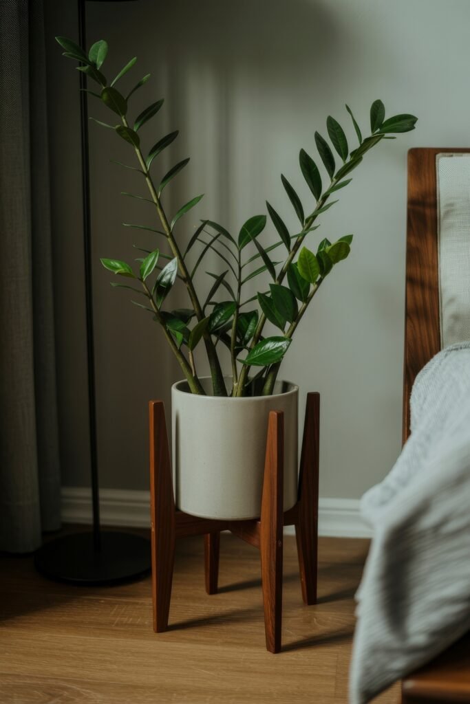 Bedroom Essentials for Your First Apartment: 12 Genius Must-Haves 24 Potted ZZ plant in a modern wooden stand positioned next to a bed, combining sleek design and easy upkeep—perfect for bedroom essentials for first apartment.