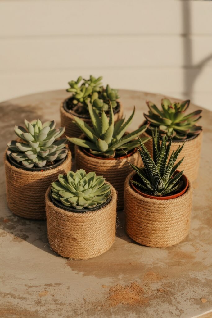 Coastal Summer Vibes for City Apartments 17 Collection of small succulents in rustic rope-wrapped pots, offering a fresh summer décor detail.
