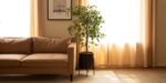 Sunlit brown couch beside a tall indoor plant in a serene living room with light beige curtains and framed wall art, reflecting brown-themed living rooms.