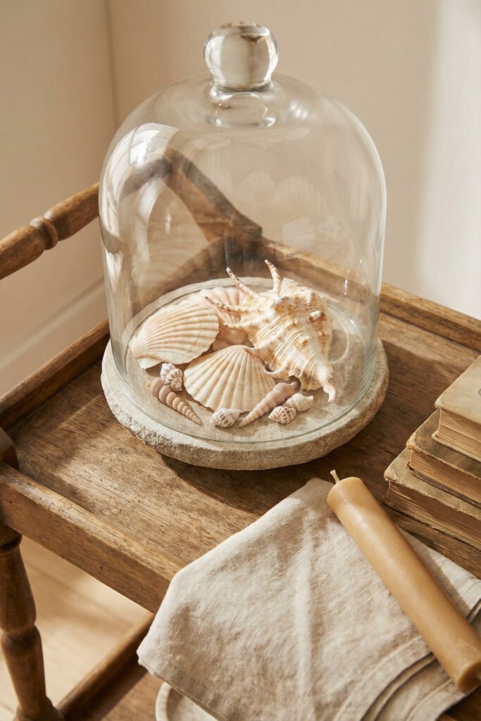 Glass cloche covering scallop and spiral shells on a stone base atop a rustic wooden tray table with books and a candle for a charming seashell display.
