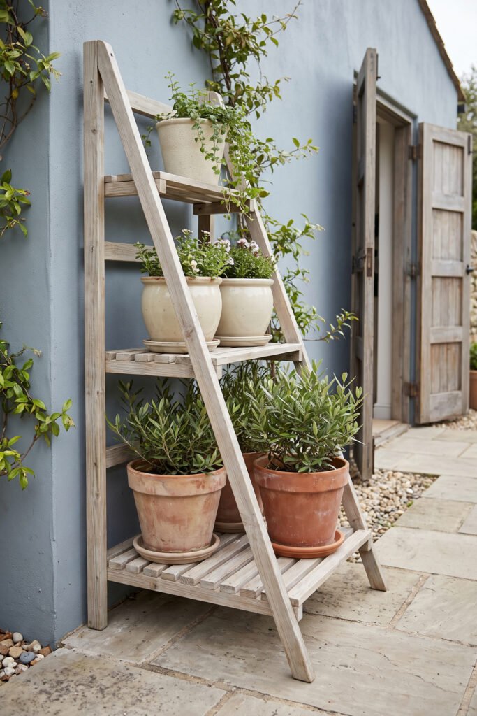 Weathered wooden ladder plant stand with cream and terracotta pots arranged on staggered shelves beside an open garden door.