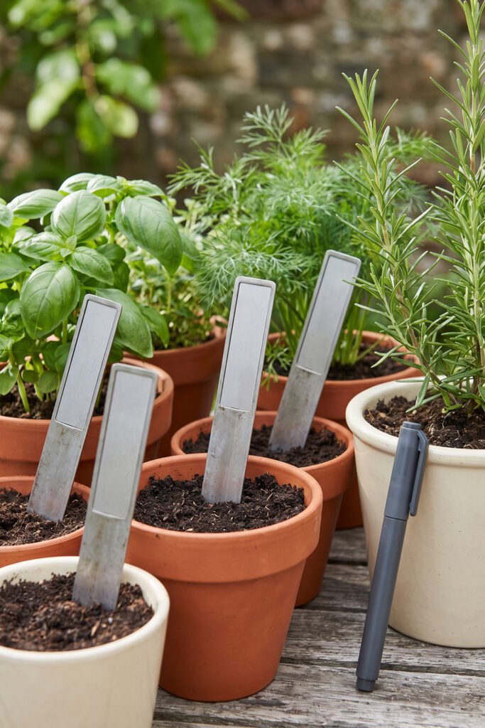 Blank silver metal plant markers placed consistently in terracotta and cream herb pots beside a gray garden marker pen.