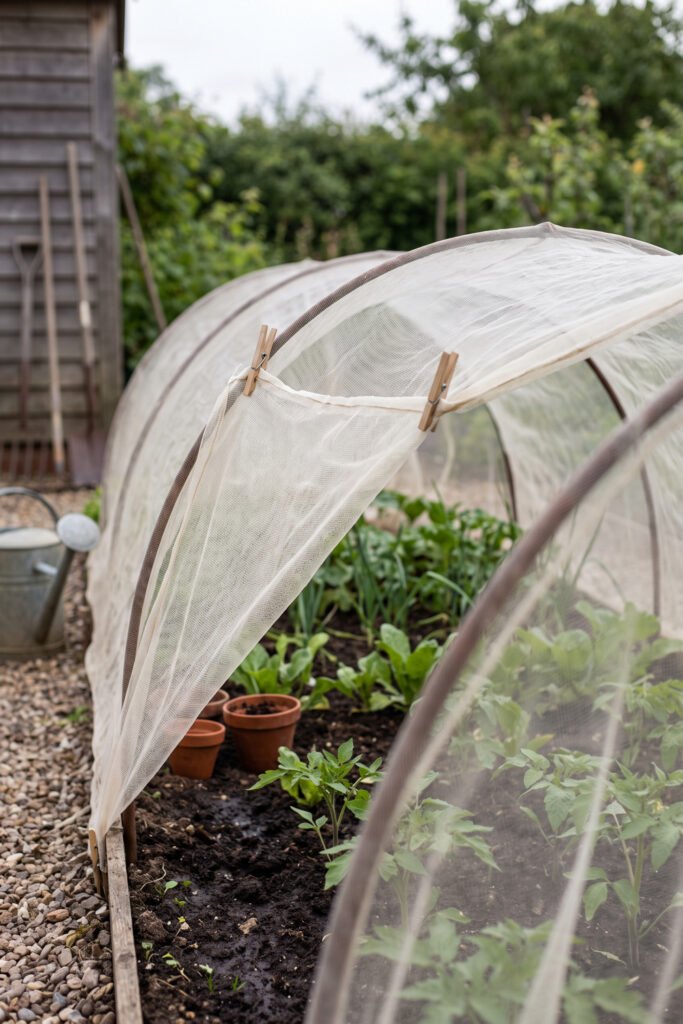 Fine garden mesh stretched over arched hoops and secured with black clips above leafy plants in a brick-edged bed.