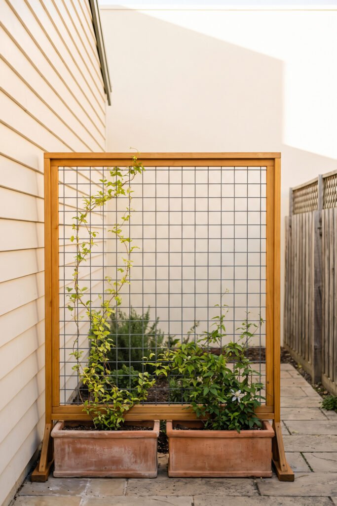 Wood-framed wire trellis supported by two rectangular terracotta planters with young climbing vines in a narrow side yard.